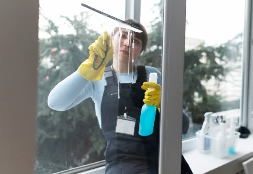 Nettoyage de vitres intérieures et extérieures à Dammartin-en-Serve